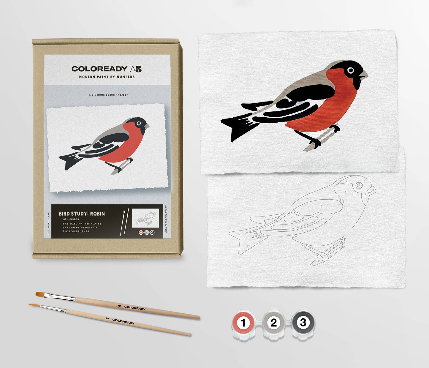 Coloready - Bird Study : Robin | Modern Paint By Numbers Kit