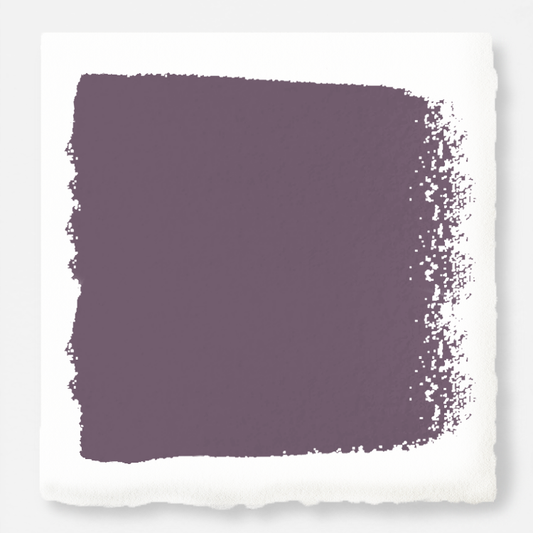 Webster Avenue - Interior Paint