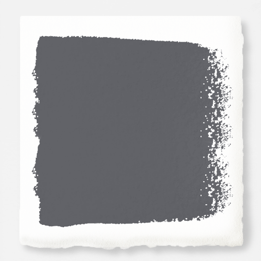 Texas Storm - Interior Paint