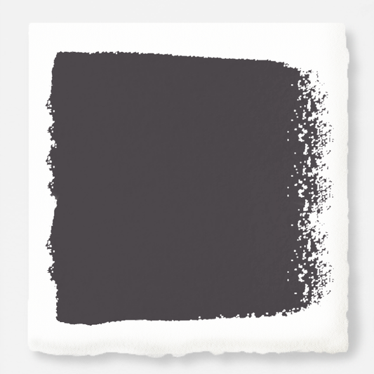 Aspen Stone - Interior Paint