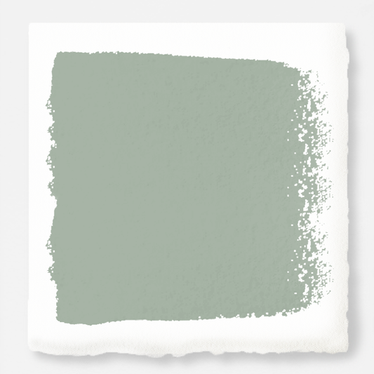 Local Greenhouse - Interior Paint